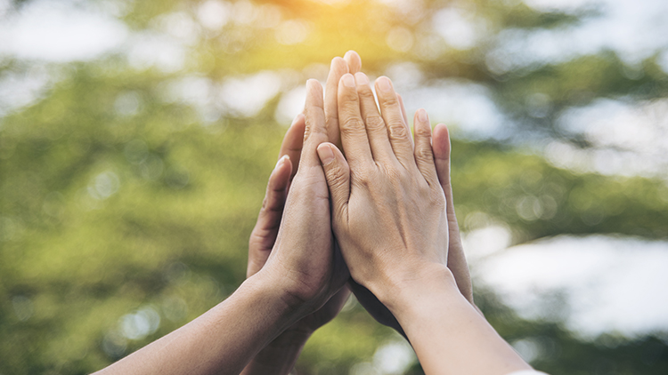 Vier Personen klatschen gegenseitig die Hände