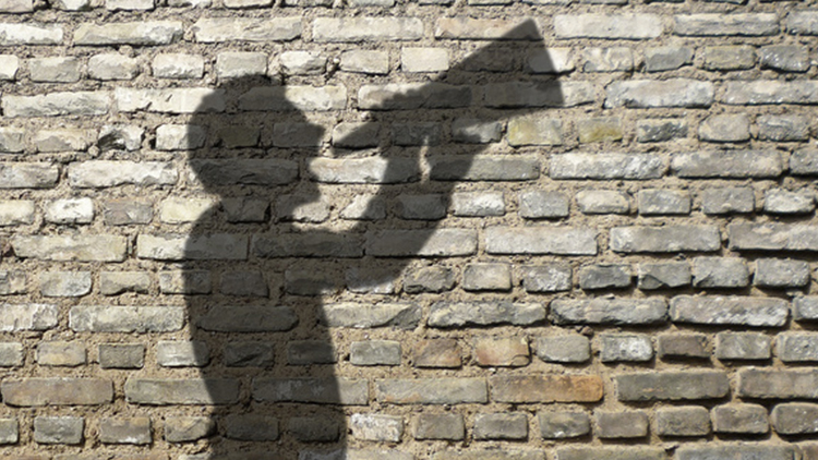 Menschlicher Schatten mit Megafon vor einer Ziegelmauer